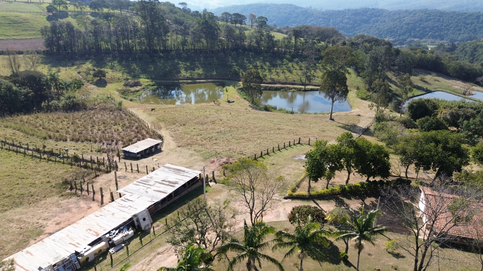 Terreno